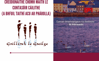 Tá Gaillimh le Gaeilge ag lorg seirbhísí gairmiúla! │Gaillimh le Gaeilge is hiring professional services!